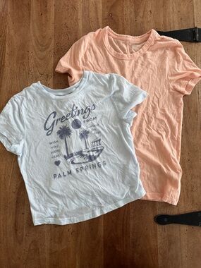Short Sleeve Graphic Tee - Peach & Light Blue